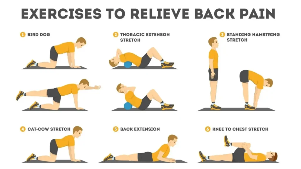 بهترین روشهای درمان دیسک کمر ورزش خانگی برای تقویت عضلات کمر